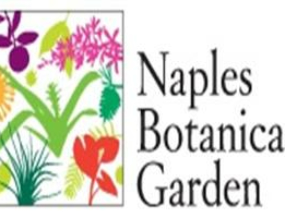 Kismet Gopher Tortoise Relocation • Turrell, Hall & Associates, Inc.